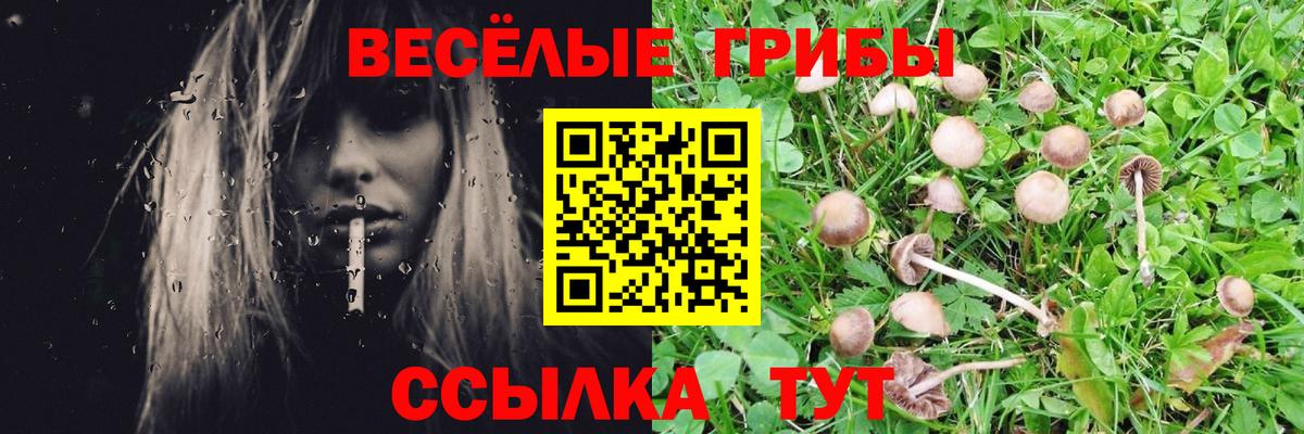 Псилоцибиновые грибы Cubensis  наркота  Симферополь  Галлюциногенные грибы Cubensis  Вход с VPN 